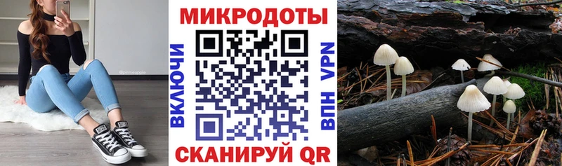 Псилоцибиновые грибы GOLDEN TEACHER  Купить где  Лыткарино 